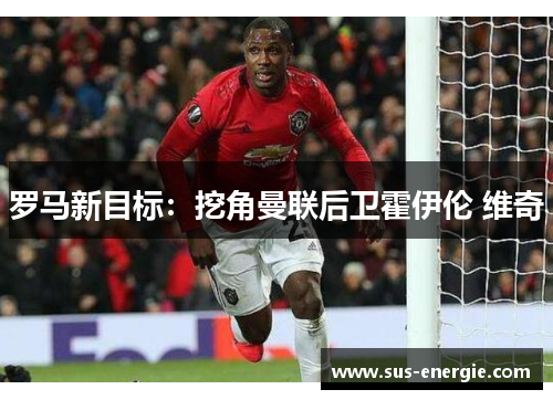 罗马新目标:挖角曼联后卫霍伊伦 维奇